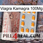 Viagra Kamagra 100Mg new13